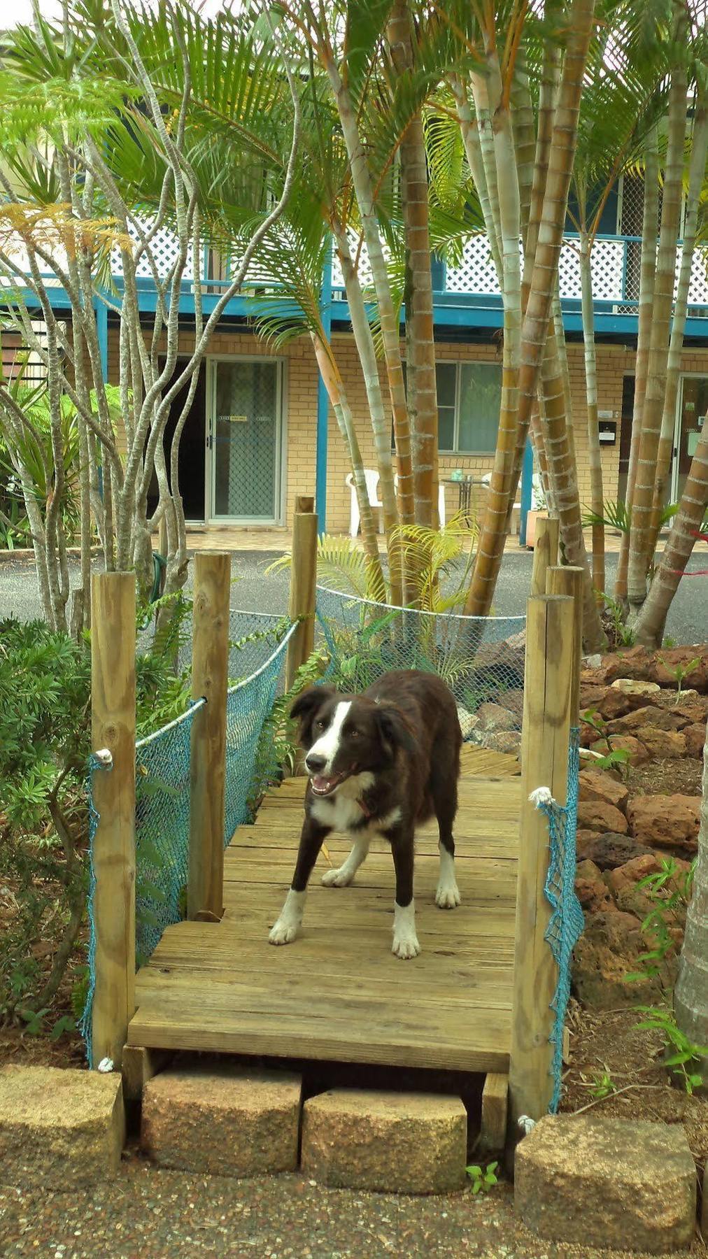 Tin Can Bay Motel Extérieur photo